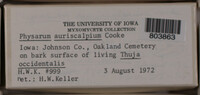 Image Associated With the Occurence